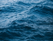 Durant quatre dies, 52 persones rescatades per la tripulació del mercant Talia van haver de sobreviure en unes condicions extremes en un estable per a animals. Font: Unsplash. Font: Font: Unsplash.
