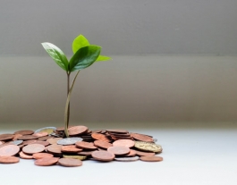 A diferència de l’IMV, la Renda Bàsica no cal demanar-la, sinó que es rep directament. Font: Unsplash. Font: Font: Unsplash.