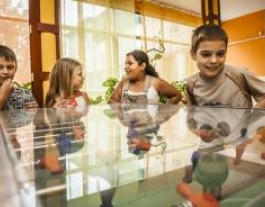 Imatge: web d'EEA Grants