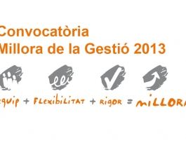 Convocatòria Millora de la Gestió 2013 de la Fundació Pere Tarrés Font: 