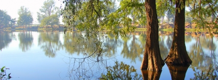 Llac i arbres_Eduardo Amorim_Flickr Font: 