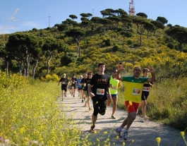 Imatge de la cursa 2013 Font: 