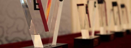 Guardons del Premi Voluntariat Font: 