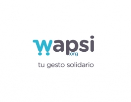 Logo Wapsi Font: 