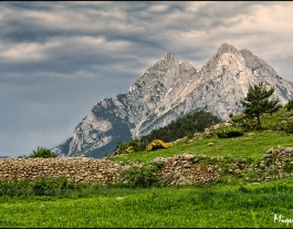 1r. premi Catalunya Wiki Loves Earth Font: 