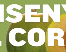 Ensenya el cor amb el Balanç Social Font: 