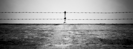Pati de presó_Luis Gonçalves_Flickr