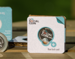Moneda social Font: 