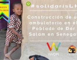 cartell de la causa de Fallou a www.iwopi.org Font: 