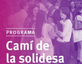 Imatge del programa al web de l'Ajuntament de Barcelona Font: 