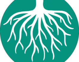 Les arrels, símbol en el nou logotip de CoopFunding Font: 