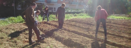 Estudiants de la URV col·laborant en l'adequació del sòl de l'hort Font: 