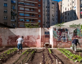 Imatge d'un hort urbà del Pla BUITS. Font: web ajuntament.barcelona.cat Font: 