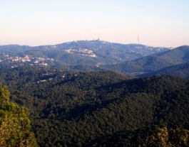 Imatge de Collserola. Font: FEEC