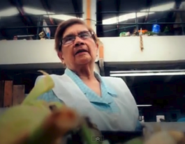 Fotograma d'un vídeo que va ser premiat en l'edició de 2015 Font: 