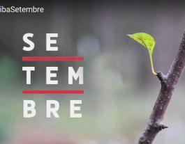 Micromecenatge per publicar Setembre / Font: Verkami Font: 