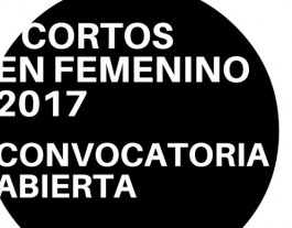 Imatge de difusió de la convocatòria Font: 