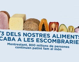 Mans Unides llança la campanya contra la fam centrada en el desaprofitament i l'especulació alimentària  Font: 