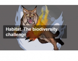 El joc d'educació ambiental 