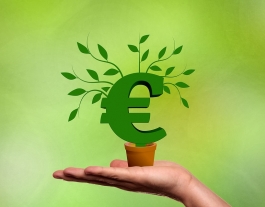 El programa durarà tres mesos i hi podran participar una vintena d'entitats Font: Pixabay