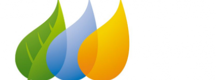 Programa social de la Fundació Iberdrola 2019
