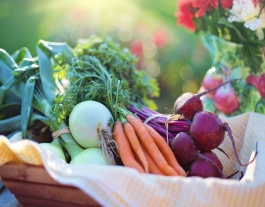 La Fundación Triodos promou l'agricultura social i els horts ecològics amb el projecte 