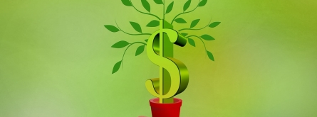Les sol·licituds per a aquesta convocatòria de subvencions poden presentar-se fins al 25 de setembre. Font: Pixabay