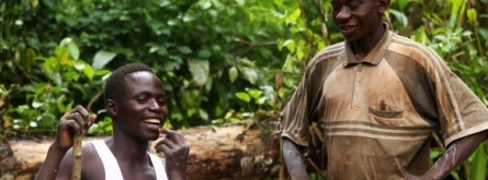 Justícia i Pau per donar a conèixer la relació que hi ha entre els productes tecnològics i els conflictes armats i violacions de drets humans a l'Àfrica Font: Justícia i Pau