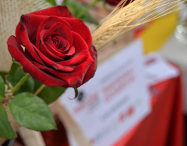 La Fundació Jubert Figueras ha llençat una crida de voluntariat per Sant Jordi. Font: FJF
