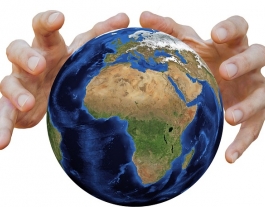 Protegir el medi ambient està a les nsotres mans Font: Tumisu a Pixabay