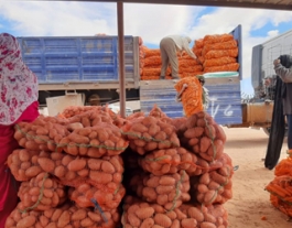 La campanya té l'objectiu de garantir la distribució de la cistella bàsica d'alimentació que facilita l'organització Mitja Lluna Roja Sahrauí. Font: ACAPS