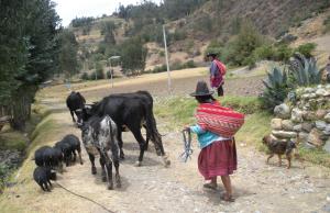 Comunitat d'Huapra, als Andes Peruans (Font: Lluís Miquel Pla)