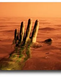 Mà sortint del mar. Premis Jove Proposa! Mà sortint del mar. Premis Jove Proposa!