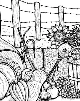 Curs d’ecologia casolana per  cultivar, menjar i curar-se amb  plantes mediterrà