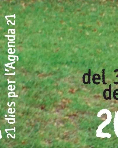 Cartell de La Verdinada 2014