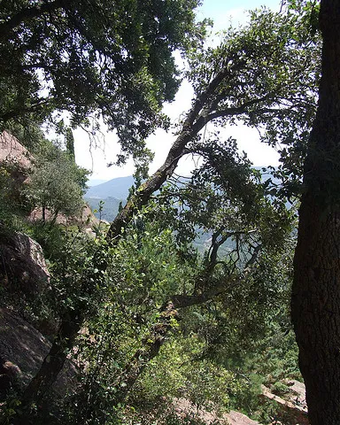 Prades_Ramon Oromi Farre [calBenido]_Flickr