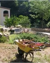 Camp de treball al Jardí Botànic Històric de Barcelona