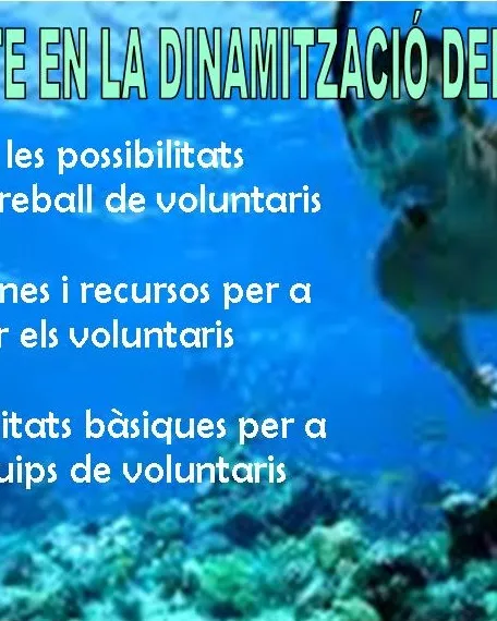 Dinamització d'Equips de Voluntaris