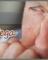 Beca Primitivo de Vega d'atenció a les persones grans 2014 Beca Primitivo de Vega d'atenció a les persones grans 2014