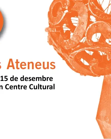 Imatge de la invitació dels Premis Ateneus 2014