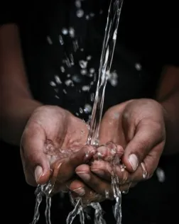 L’objectiu de l’activitat és mostrar què passa quan no se’n té accés al recurs de l’aigua. Font: Unsplash.