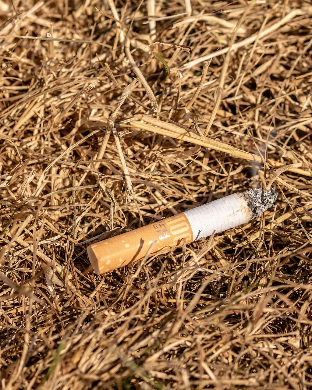 Deixar caure burilles de cigarreta és un dels motius més habituals de l'origen dels focs que augmenten d'intensitat per l'abandonament de la gestió del medi foral. 