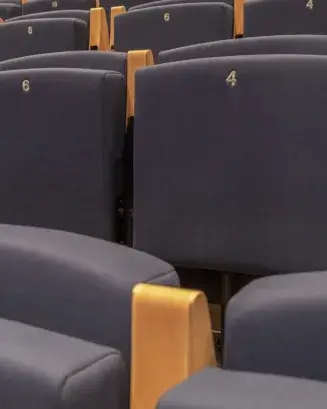 Butaques d'un auditori, de fusta clara i roba gris