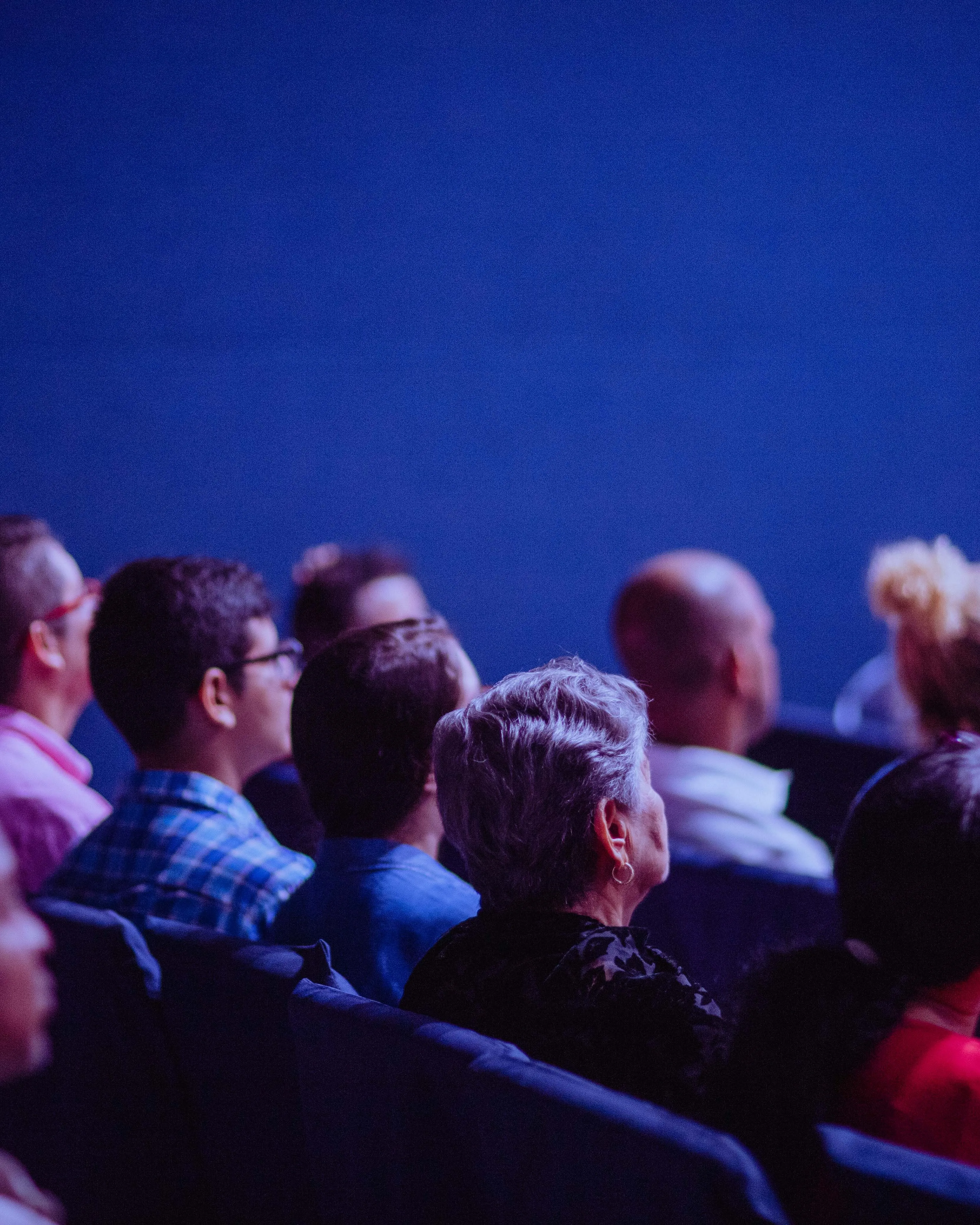 Persones en un cinema
