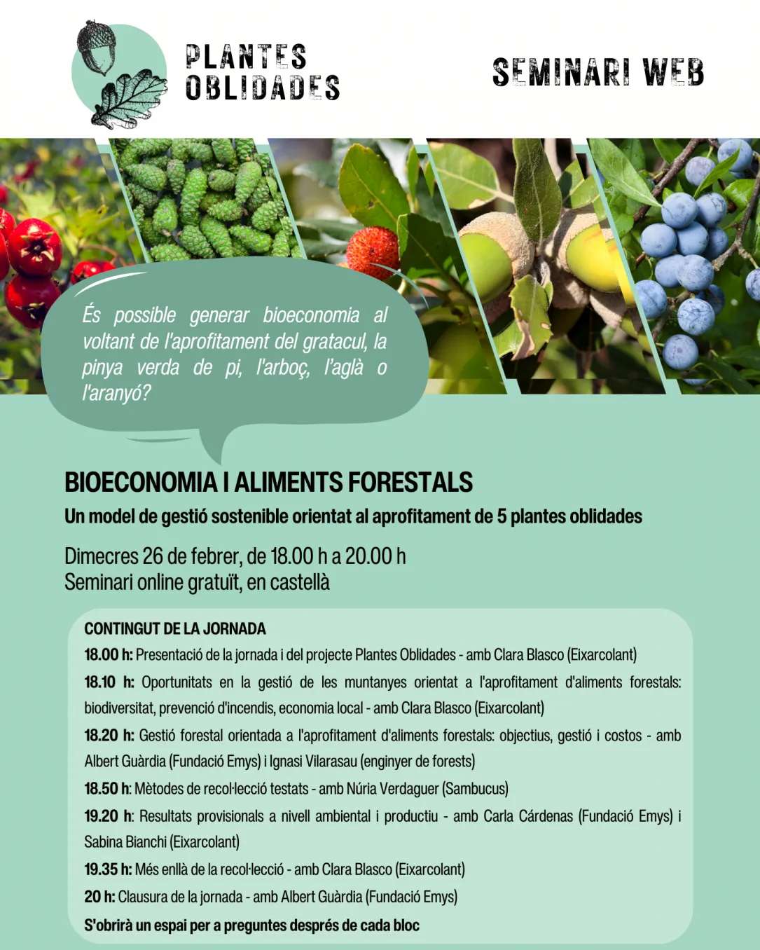 Cartell del seminari web 'Bioeconomia i aliments forestals'
