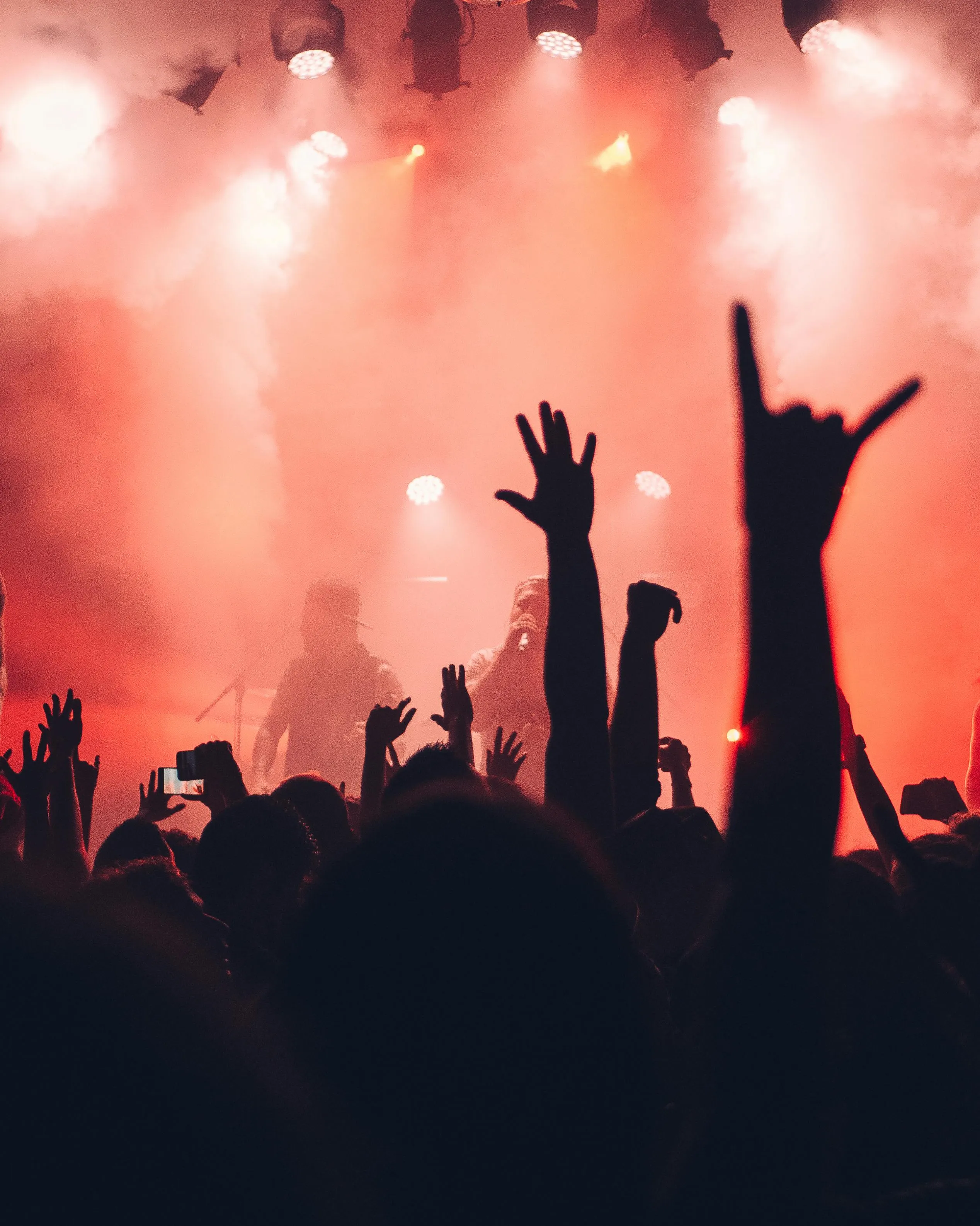 Públic en un concert de música a l'aire lliure Públic en un concert de música a l'aire lliure