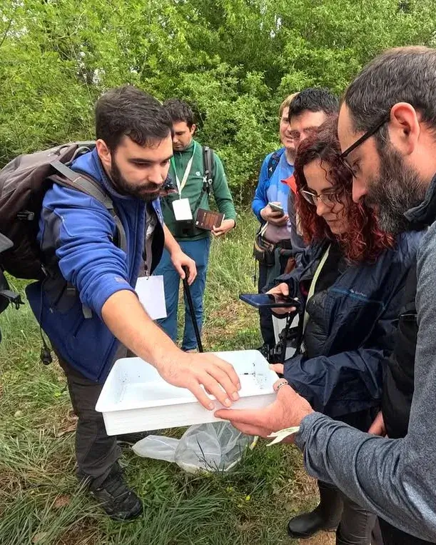 L’aplec naturalista, més inclusiu i participatiu que mai, se celebra aquest dissabte 26 d’abril a la finca de Can Moragues. L’aplec naturalista, més inclusiu i participatiu que mai, se celebra aquest dissabte 26 d’abril a la finca de Can Moragues.