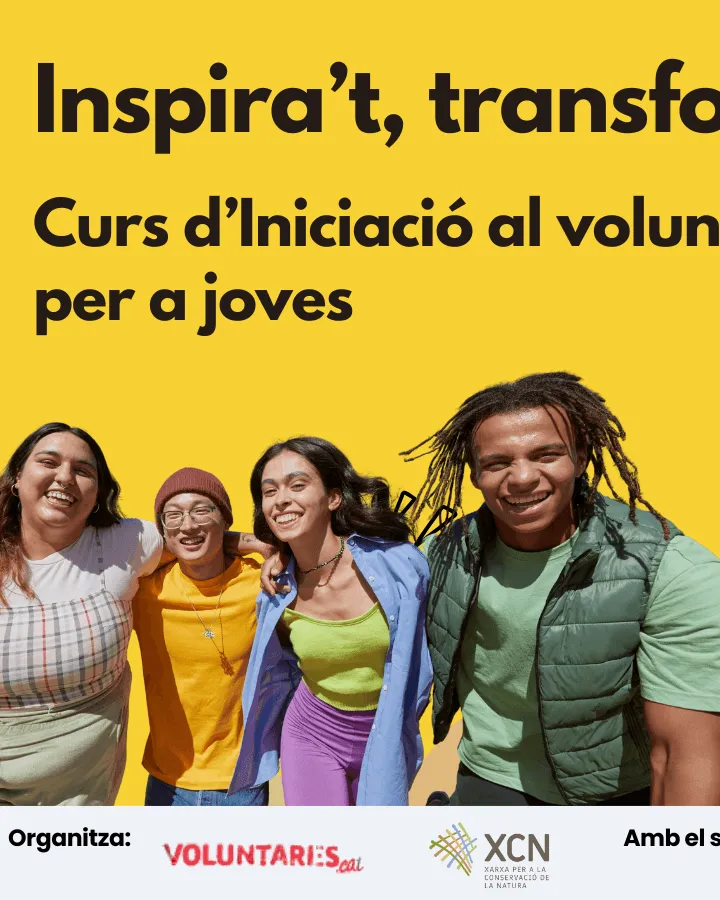 Cartell promocional del curs