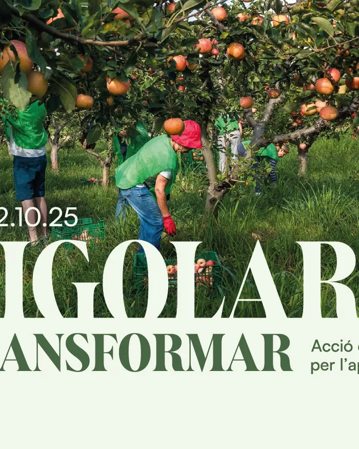 Acció col·lectiva per l'aprofitament alimentari
