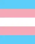 Imatge amb la bandera trans (Blau cel, rosa pàlid i blanc)